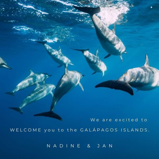 Copy of Galápagos Post.zip - 18