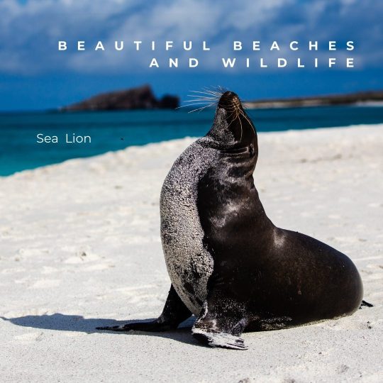 Copy of Galápagos Post.zip - Final (4)