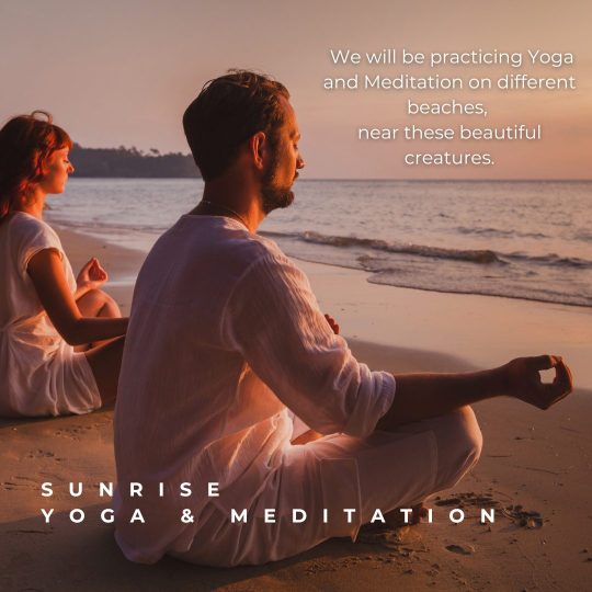 Copy of Galápagos Post.zip - Final (6)