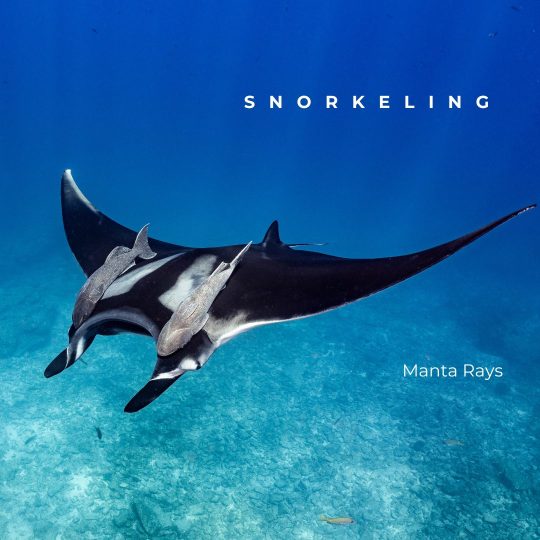 Copy of Galápagos Post.zip - Final (7)