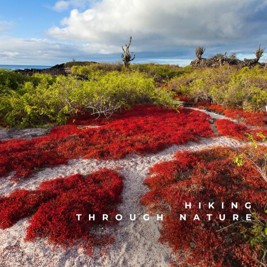 Copy of Galápagos Post.zip - Final (8)